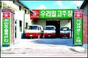 Company Information